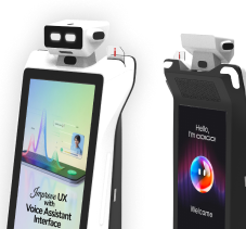 multilingual voice interaction