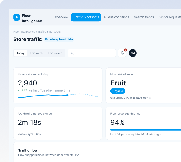 store traffic report